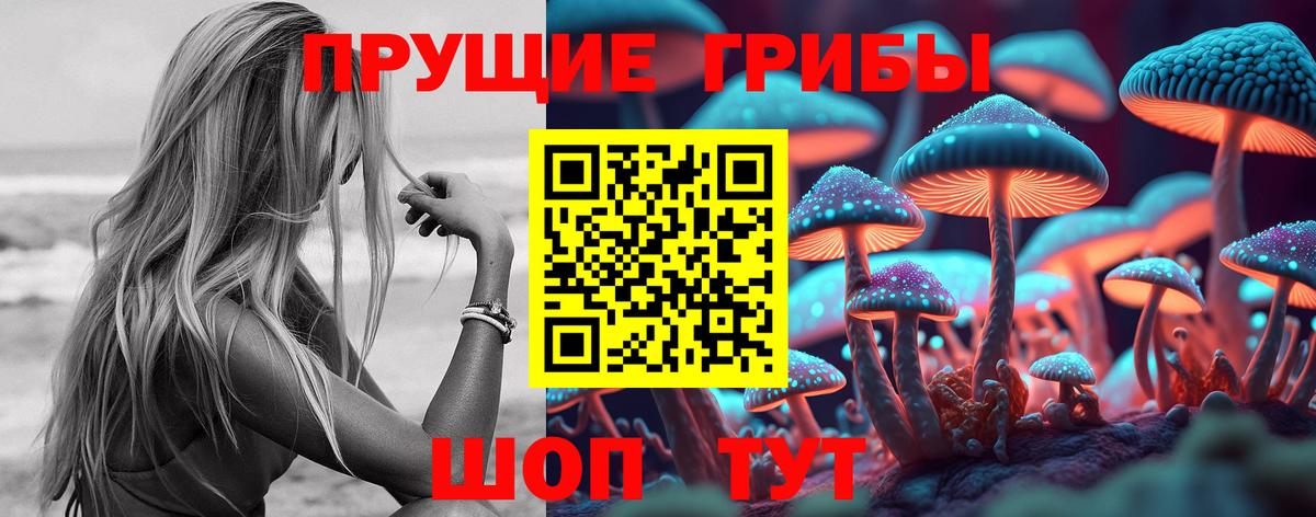 Сердобск  Псилоцибиновые грибы Magic Shrooms  Вход с VPN 